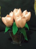 Arranjo delicadeza